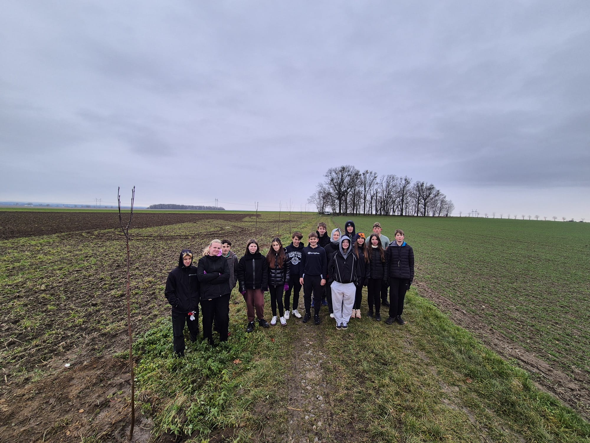 sázení ovocných stromů 20.11.25