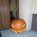 Halloween 2020