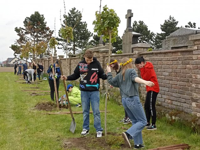 Sázení stromů u hřbitova