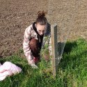 2. stupeň - sázení a obnova keřů