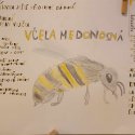 Včela medonosná ve 4.A