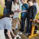 Projektový den s roboty – 1. a 2.stupeň