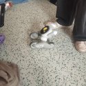Projektový den s roboty – 1. a 2.stupeň